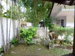 Bukit Timah Road (D21), Detached #486077141